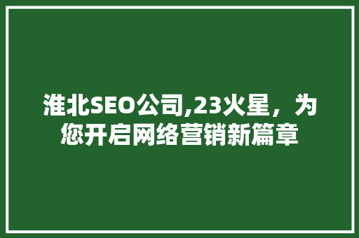 淮北SEO公司,23火星，为您开启网络营销新篇章