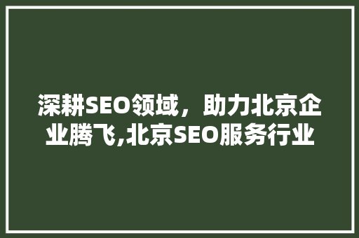 深耕SEO领域，助力北京企业腾飞,北京SEO服务行业的发展与趋势