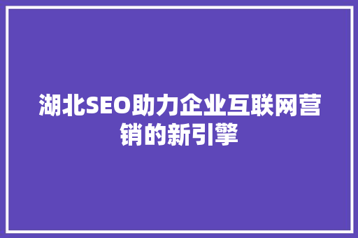 湖北SEO助力企业互联网营销的新引擎
