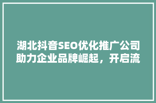 湖北抖音SEO优化推广公司助力企业品牌崛起，开启流量新时代