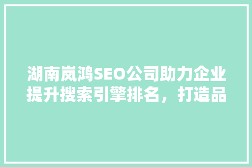 湖南岚鸿SEO公司助力企业提升搜索引擎排名，打造品牌影响力