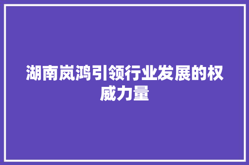 湖南岚鸿引领行业发展的权威力量