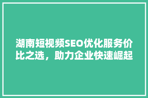 湖南短视频SEO优化服务价比之选，助力企业快速崛起