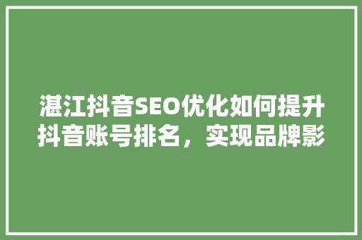 湛江抖音SEO优化如何提升抖音账号排名，实现品牌影响力最大化  第1张