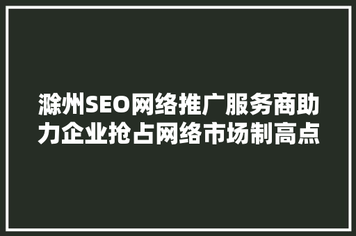 滁州SEO网络推广服务商助力企业抢占网络市场制高点