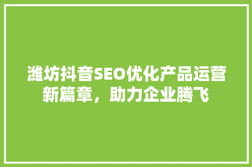 潍坊抖音SEO优化产品运营新篇章，助力企业腾飞