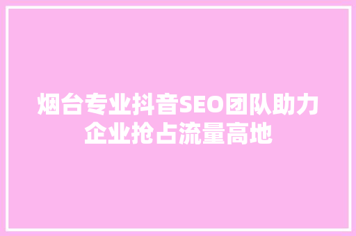 烟台专业抖音SEO团队助力企业抢占流量高地