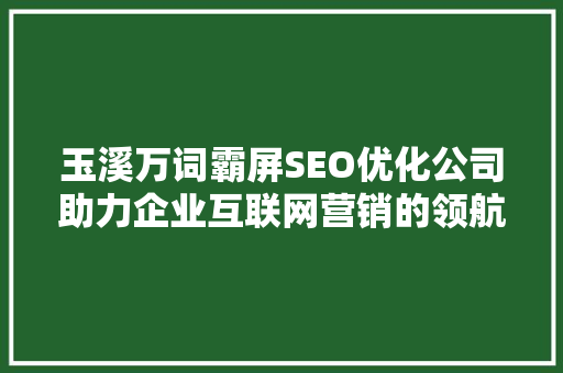 玉溪万词霸屏SEO优化公司助力企业互联网营销的领航者