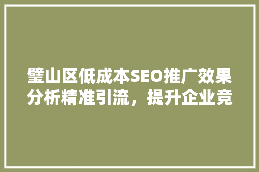 璧山区低成本SEO推广效果分析精准引流，提升企业竞争力