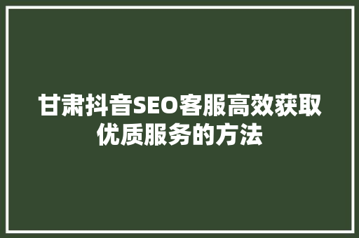 甘肃抖音SEO客服高效获取优质服务的方法