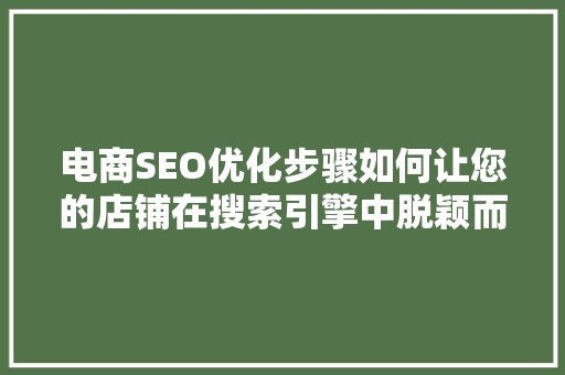 电商SEO优化步骤如何让您的店铺在搜索引擎中脱颖而出
