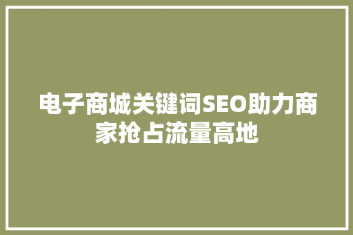 电子商城关键词SEO助力商家抢占流量高地