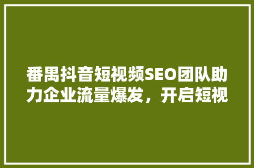 番禺抖音短视频SEO团队助力企业流量爆发，开启短视频营销新篇章