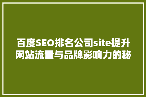 百度SEO排名公司site提升网站流量与品牌影响力的秘密武器