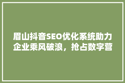 眉山抖音SEO优化系统助力企业乘风破浪，抢占数字营销制高点