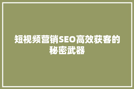 短视频营销SEO高效获客的秘密武器