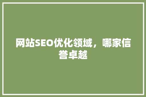 网站SEO优化领域，哪家信誉卓越