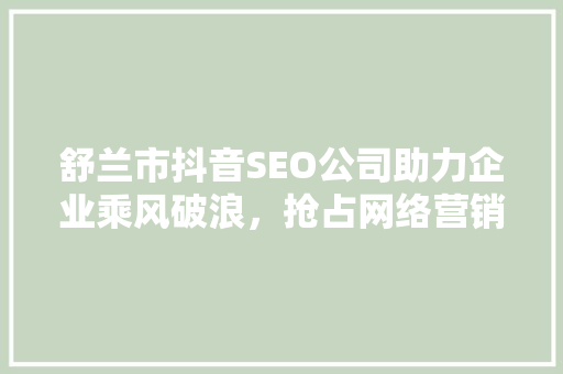 舒兰市抖音SEO公司助力企业乘风破浪，抢占网络营销制高点