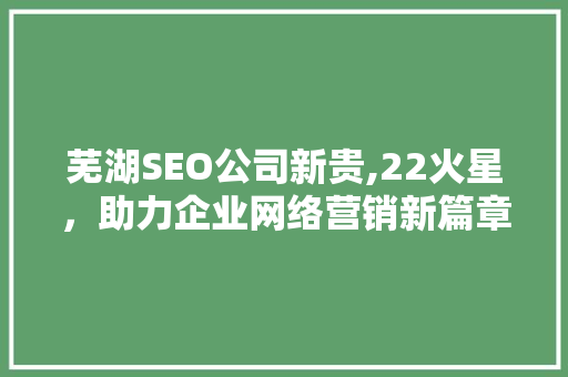 芜湖SEO公司新贵,22火星，助力企业网络营销新篇章