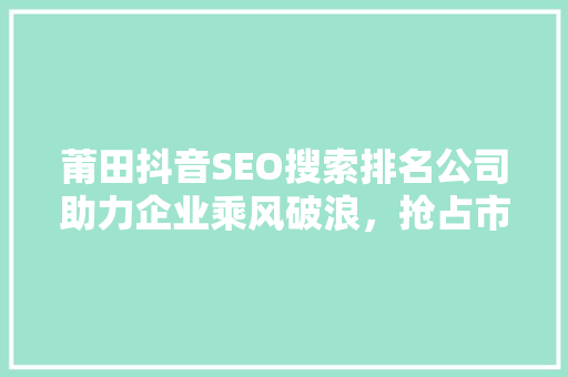 莆田抖音SEO搜索排名公司助力企业乘风破浪，抢占市场先机