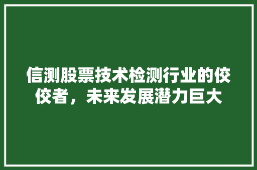 信测股票技术检测行业的佼佼者，未来发展潜力巨大