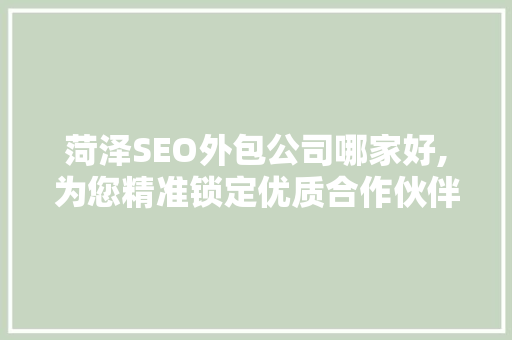 菏泽SEO外包公司哪家好,为您精准锁定优质合作伙伴