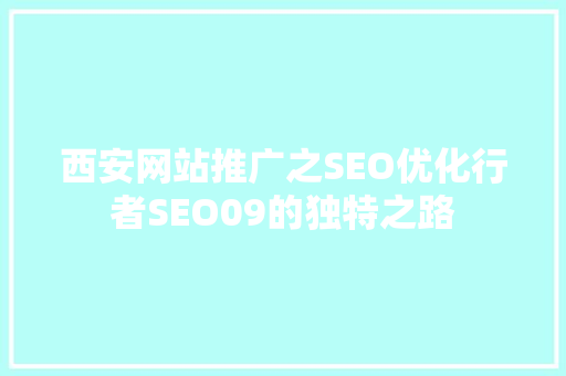 西安网站推广之SEO优化行者SEO09的独特之路