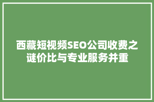 西藏短视频SEO公司收费之谜价比与专业服务并重