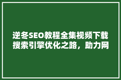逆冬SEO教程全集视频下载搜索引擎优化之路，助力网站流量攀升