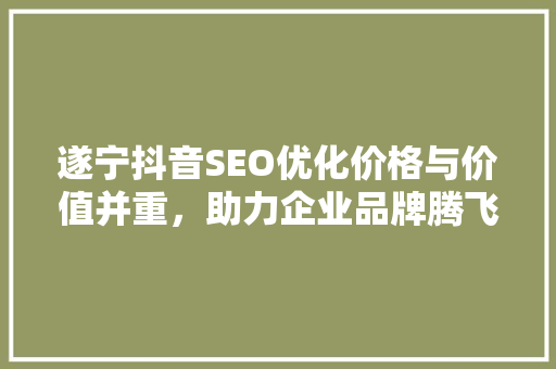 遂宁抖音SEO优化价格与价值并重，助力企业品牌腾飞