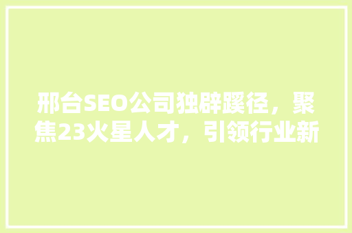 邢台SEO公司独辟蹊径，聚焦23火星人才，引领行业新潮流