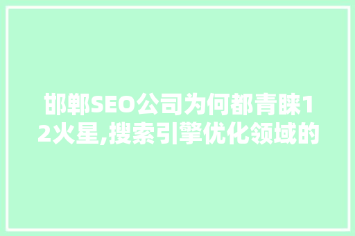 邯郸SEO公司为何都青睐12火星,搜索引擎优化领域的秘密武器