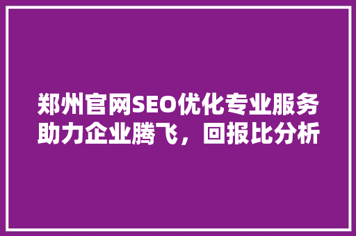 郑州官网SEO优化专业服务助力企业腾飞，回报比分析