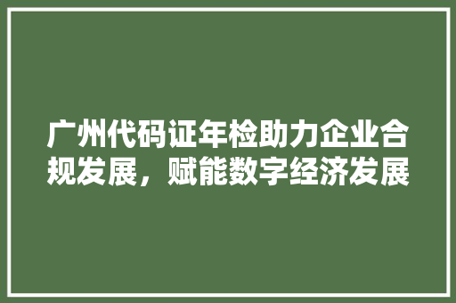 广州代码证年检助力企业合规发展，赋能数字经济发展新篇章