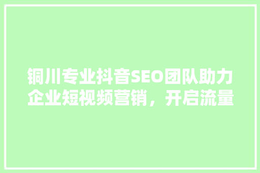 铜川专业抖音SEO团队助力企业短视频营销，开启流量新纪元