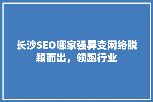 长沙SEO哪家强异变网络脱颖而出，领跑行业  第1张