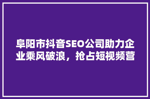 阜阳市抖音SEO公司助力企业乘风破浪，抢占短视频营销制高点