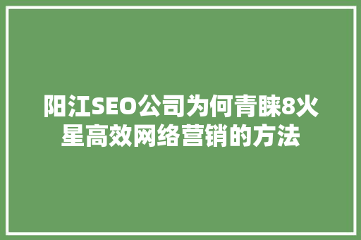 阳江SEO公司为何青睐8火星高效网络营销的方法  第1张