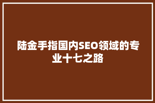 陆金手指国内SEO领域的专业十七之路