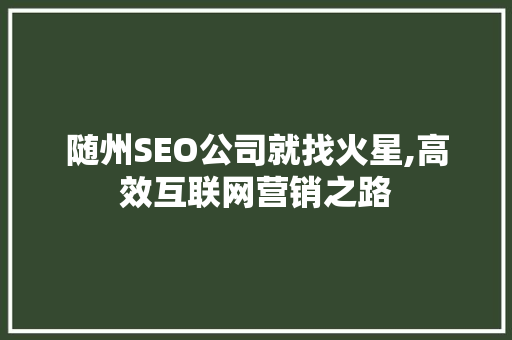 随州SEO公司就找火星,高效互联网营销之路