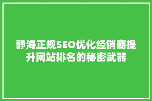 静海正规SEO优化经销商提升网站排名的秘密武器