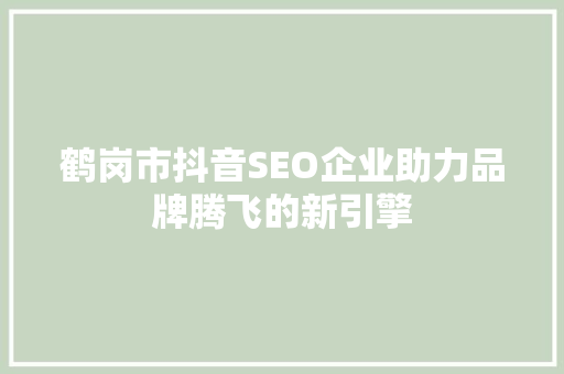 鹤岗市抖音SEO企业助力品牌腾飞的新引擎