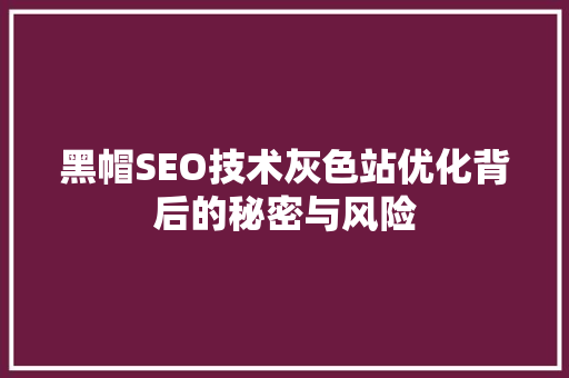 黑帽SEO技术灰色站优化背后的秘密与风险  第1张