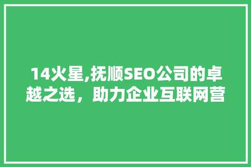 14火星,抚顺SEO公司的卓越之选，助力企业互联网营销新篇章