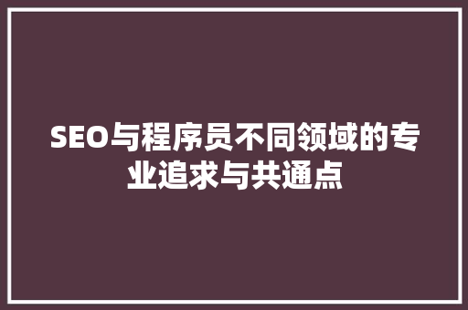 SEO与程序员不同领域的专业追求与共通点  第1张