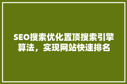 SEO搜索优化置顶搜索引擎算法，实现网站快速排名