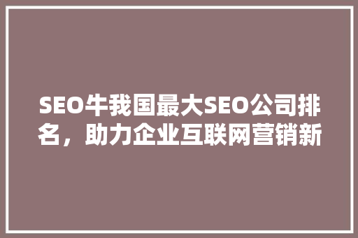 SEO牛我国最大SEO公司排名，助力企业互联网营销新篇章