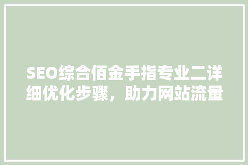 SEO综合佰金手指专业二详细优化步骤，助力网站流量飙升