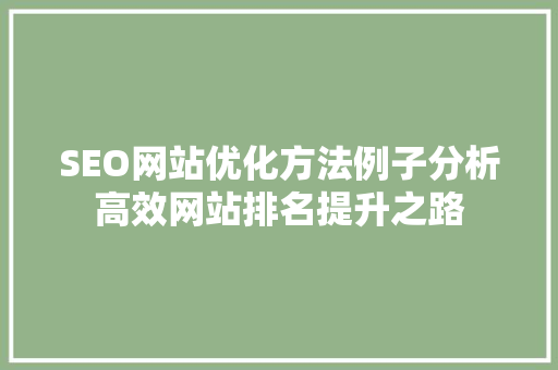 SEO网站优化方法例子分析高效网站排名提升之路