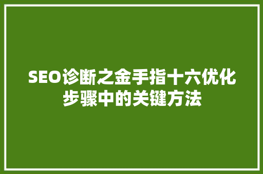 SEO诊断之金手指十六优化步骤中的关键方法